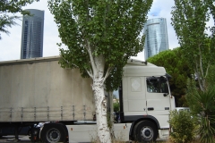 GALERIA_004